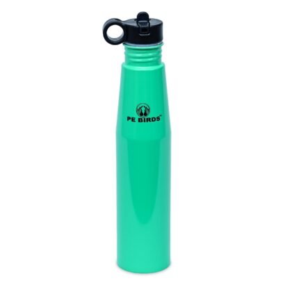 PEBIRDS BPA-Free Bheem O Stainless Steel Sipper Bottle