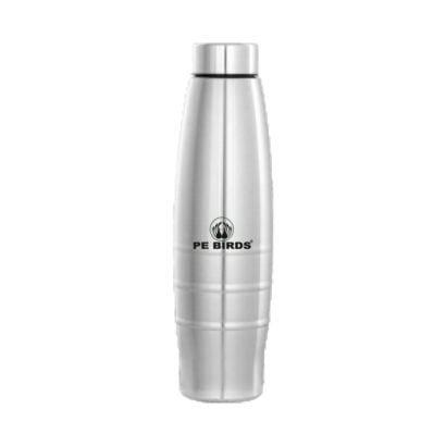 PE BIRDS Stainless Steel Cara Water Bottle